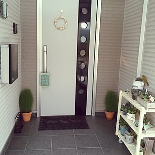 多肉植物 虫除けカバーのインテリア実例 Roomclip ルームクリップ