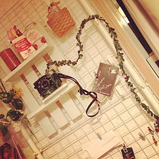 壁/天井/植物/カメラ/すのこのインテリア実例 - 2012-09-29 15:54:08