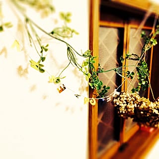 女性の、1LDK、家族住まいの「壁/天井」についてのインテリア実例