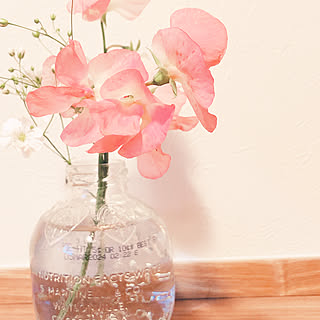 かすみ草 スイートピーのインテリア実例 Roomclip ルームクリップ