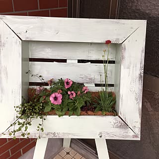 額縁プランターのインテリア実例 Roomclip ルームクリップ