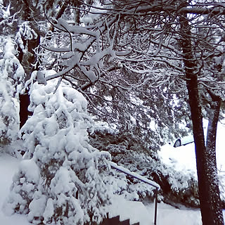 玄関/入り口のインテリア実例 - 2019-11-30 03:20:50