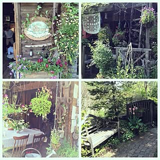 花フェスタ記念公園のインテリア実例 Roomclip ルームクリップ