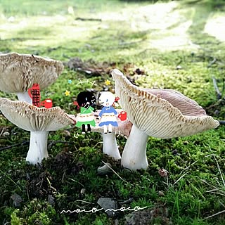 キノコ イラストのおしゃれなアレンジ 飾り方のインテリア実例 Roomclip ルームクリップ