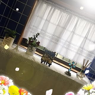 バス/トイレ/コベントガーデン/芳香剤/DAISO&セリア&雑貨/フエィクグリーン...などのインテリア実例 - 2017-04-01 18:05:46