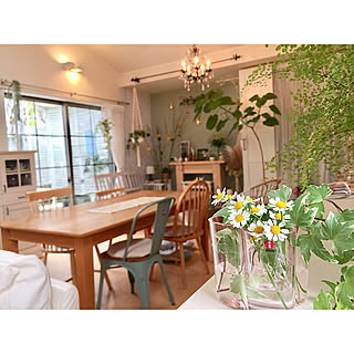 アアルトベース/植物のある暮らし/〇〇のある暮らし/花瓶/フラワーベース...などのインテリア実例 - 2020-01-24 13:03:39