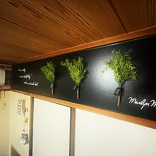 コーナン 観葉植物のまとめページ Roomclip ルームクリップ コーナン 観葉植物のまとめページ Roomclip ルームクリップ
