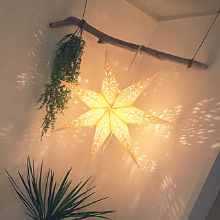 もしゃもしゃ植物のインテリア実例 Roomclip ルームクリップ もしゃもしゃ植物のインテリア実例 Roomclip ルームクリップ