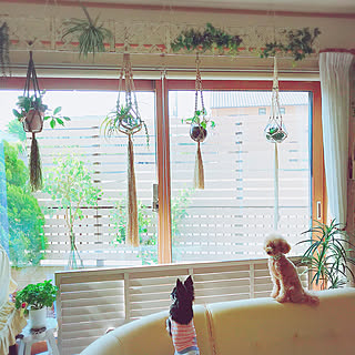 カインズホーム ウッドフェンスのインテリア実例 Roomclip ルームクリップ