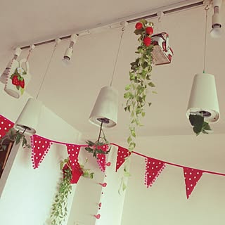 ポトス水栽培 No Green No Lifeのインテリア実例 Roomclip ルームクリップ ポトス水栽培 No Green No Lifeのインテリア実例 Roomclip ルームクリップ