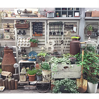 壁/天井/ベランダガーデン♪/花のある暮らし+..・* ❁/多肉植物のある暮らし/ちまちま寄せ...などのインテリア実例 - 2018-04-29 08:35:27