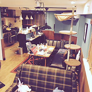 リビング/部屋が汚くて申し訳ないです。/ソファ/ねこと暮らす/キャットタワー...などのインテリア実例 - 2017-08-29 23:04:22