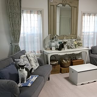鳥籠アレンジのインテリア実例 Roomclip ルームクリップ 鳥籠アレンジのインテリア実例 Roomclip ルームクリップ