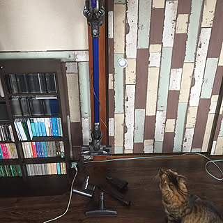 部屋全体/畳にクッションフロア/襖に壁紙/ダイソンの充電スタンド/ダイソン掃除機...などのインテリア実例 - 2017-07-29 14:53:28