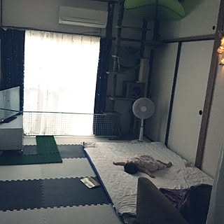 ベッド周り/人工芝/布団/賃貸アパート/子供と暮らす。...などのインテリア実例 - 2017-07-14 18:57:24