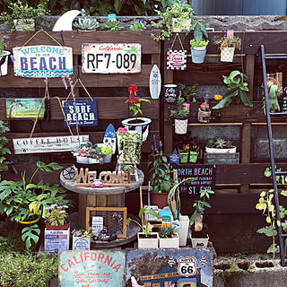 いいね!ありがとうございます◡̈♥︎/パレットガーデニングDIY/ナチュラル/NO GREEN NO LIFE/お手軽のインテリア実例 - 2019-03-30 16:35:16