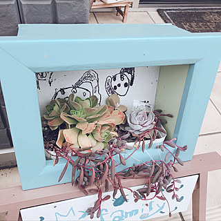 額縁プランターのインテリア実例 Roomclip ルームクリップ