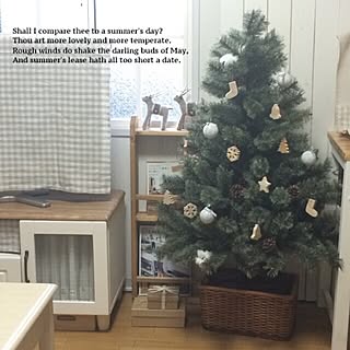 女性の、、の「リビング」についてのインテリア実例