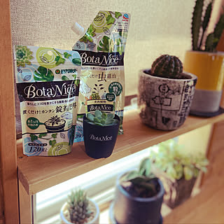 窓 Bessのインテリア実例 Roomclip ルームクリップ