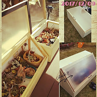 棚/NO GREEN NO LIFE/RCの出会いに感謝♡/12月9日(金)/いつもいいねやコメありがとうございます♡...などのインテリア実例 - 2017-12-09 15:58:18