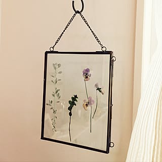 ナチュラル 押し花フレームのおしゃれなインテリア 部屋 家具の実例 Roomclip ルームクリップ