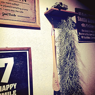 100均 靴べらのインテリア実例 Roomclip ルームクリップ