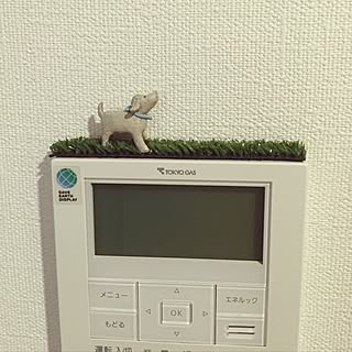 壁/天井/セリア/北欧/フェイクグリーンのインテリア実例 - 2016-10-08 07:41:48