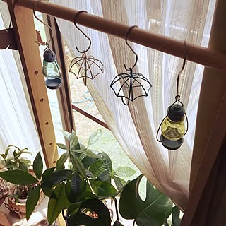 玄関/入り口/観葉植物/雑貨/キャンドゥ/100均...などのインテリア実例 - 2017-06-10 13:49:35
