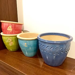 玄関/入り口/made in Malaysia/ガーデンポット/ガーデニング雑貨/NO GREEN NO LIFE...などのインテリア実例 - 2017-06-03 23:36:57