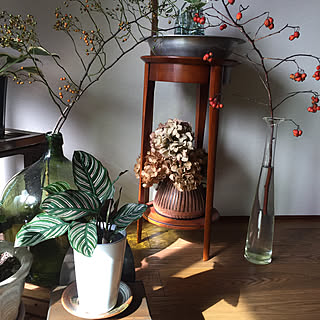 カラテアサンデリアーナのインテリア実例 Roomclip ルームクリップ