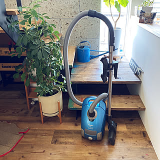 カポック/Miele/NO GREEN NO LIFE/大谷石の壁/階段本棚...などのインテリア実例 - 2020-02-24 11:19:43