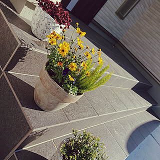 玄関 入り口 クフェアのインテリア実例 Roomclip ルームクリップ