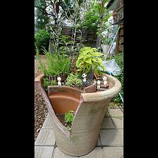 コダマ もののけ姫のインテリア実例 Roomclip ルームクリップ