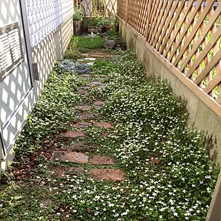 プラティアのインテリア実例 Roomclip ルームクリップ