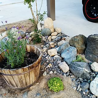 ラベンダー ロックガーデンのインテリア実例 Roomclip ルームクリップ ラベンダー ロックガーデンのインテリア実例 Roomclip ルームクリップ