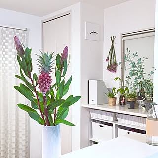 ドライフラワーにしたいのインテリア実例 Roomclip ルームクリップ ドライフラワーにしたいのインテリア実例 Roomclip ルームクリップ