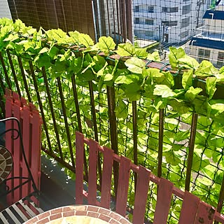 玄関/入り口/モザイクテーブル/すのこフェンス/鳩被害/鳩よけネット...などのインテリア実例 - 2017-04-24 06:32:48
