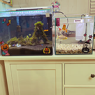 熱帯魚 金魚のインテリア実例 Roomclip ルームクリップ