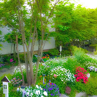 春の庭のインテリア実例 Roomclip ルームクリップ