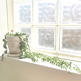 窓際 窓際のグリーンのインテリア実例 Roomclip ルームクリップ