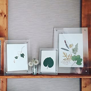 ドライフラワー たんぽぽのインテリア実例 Roomclip ルームクリップ ドライフラワー たんぽぽのインテリア実例 Roomclip ルームクリップ