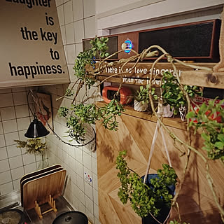 キッチン/スピーカー/BGM/カフェ風/フェイクグリーン...などのインテリア実例 - 2019-09-13 20:41:37