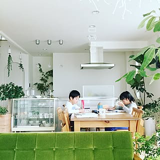植物のある部屋 花のある生活のインテリア実例 Roomclip ルームクリップ 植物のある部屋 花のある生活のインテリア実例 Roomclip ルームクリップ