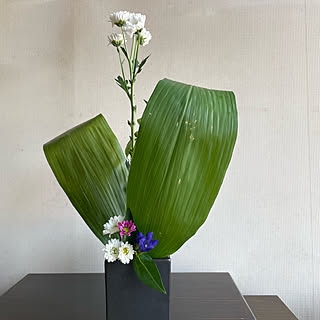 池坊 自由花のインテリア実例 Roomclip ルームクリップ