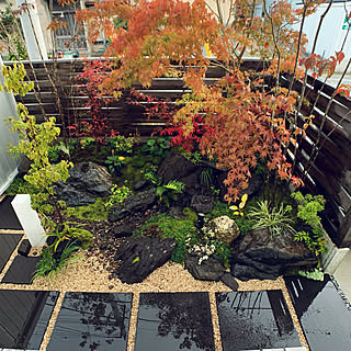 坪庭 紅葉のインテリア実例 Roomclip ルームクリップ