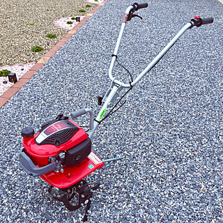 ししとう栽培のインテリア実例 Roomclip ルームクリップ