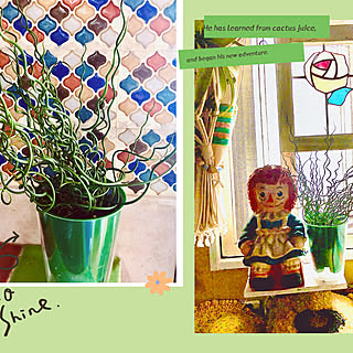 キッチンです 名前の知らない観葉植物のインテリア実例 Roomclip ルームクリップ