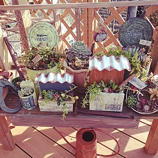 多肉植物 手作りピックのインテリア実例 Roomclip ルームクリップ 多肉植物 手作りピックのインテリア実例 Roomclip ルームクリップ
