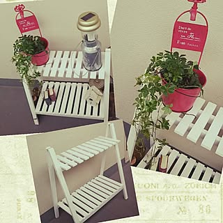 玄関/入り口/飾り棚/1000円以下/3COINS+plus/300均...などのインテリア実例 - 2015-06-20 16:39:40