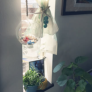 オリヅルラン ボニーのインテリア実例 Roomclip ルームクリップ